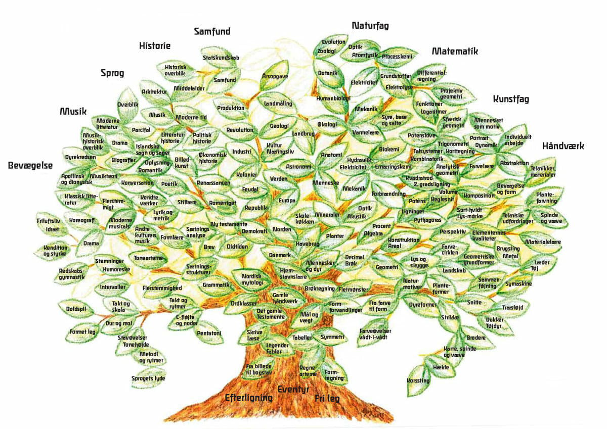 læreplanstræet